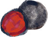 Davidson Plum